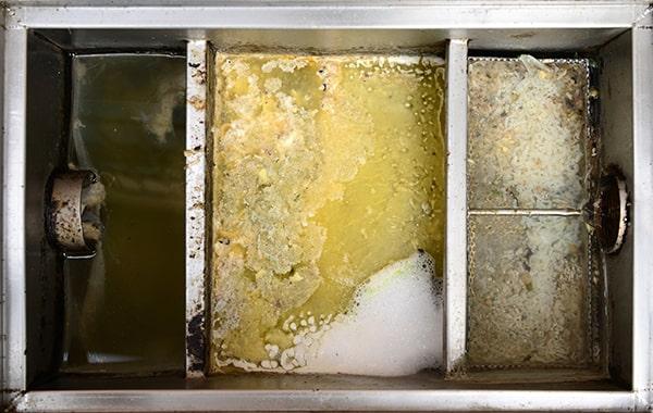 putting off regular grease interceptor cleaning can lead to plumbing concerns, foul odors, and health code infractions